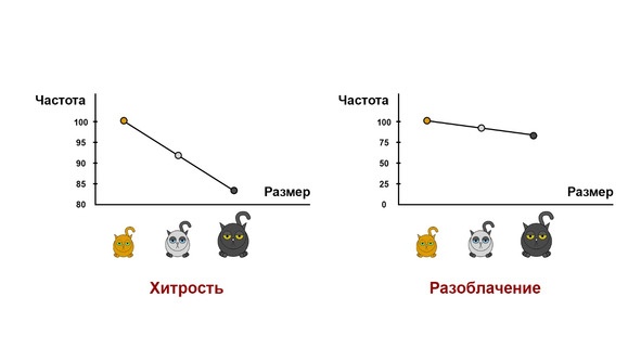 Статистика и котики