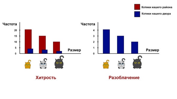 Статистика и котики