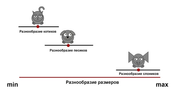 Статистика и котики