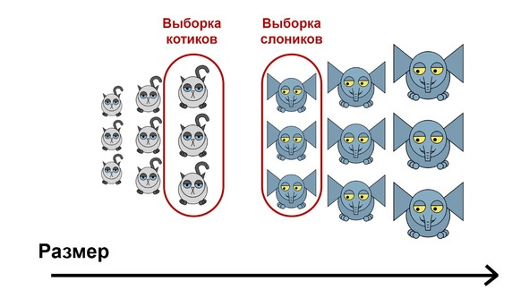 Статистика и котики