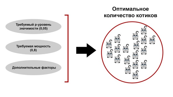 Статистика и котики