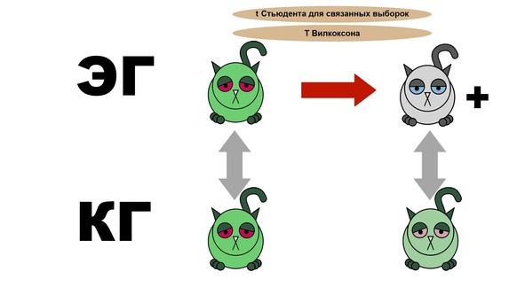 Статистика и котики