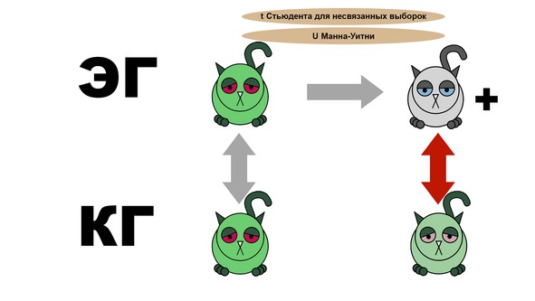 Статистика и котики