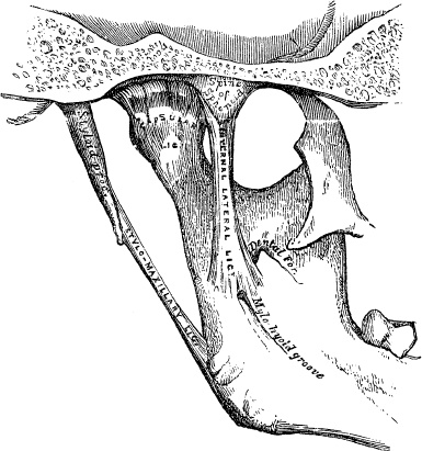 Модицина. Encyclopedia Pathologica