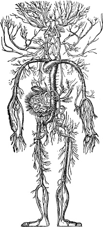 Модицина. Encyclopedia Pathologica