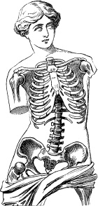 Модицина. Encyclopedia Pathologica