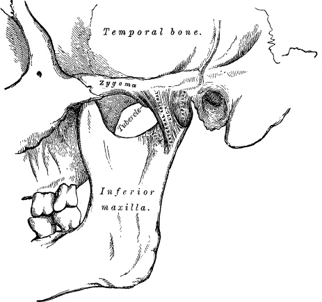 Модицина. Encyclopedia Pathologica