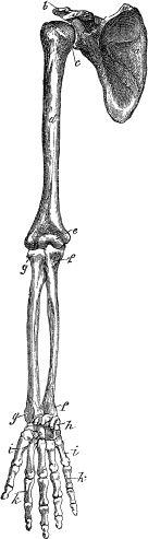 Модицина. Encyclopedia Pathologica