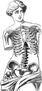 Модицина. Encyclopedia Pathologica