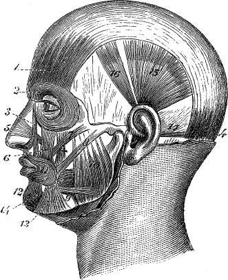 Модицина. Encyclopedia Pathologica