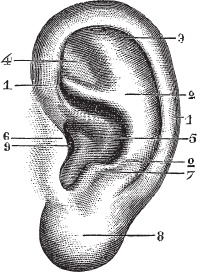 Модицина 2. Апология