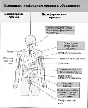 Имя ему СПИД. Четвертый всадник Апокалипсиса