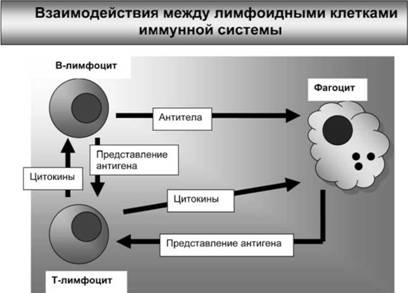 Имя ему СПИД. Четвертый всадник Апокалипсиса