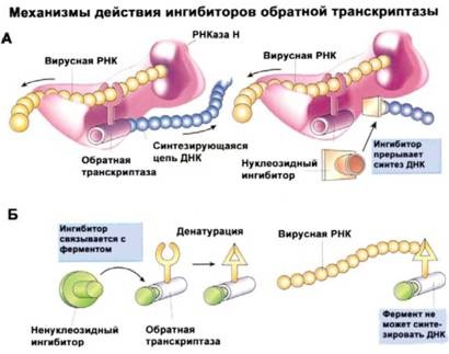 Имя ему СПИД. Четвертый всадник Апокалипсиса