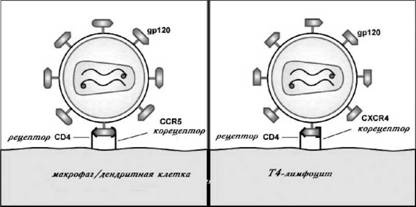 Имя ему СПИД. Четвертый всадник Апокалипсиса