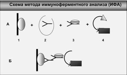 Имя ему СПИД. Четвертый всадник Апокалипсиса