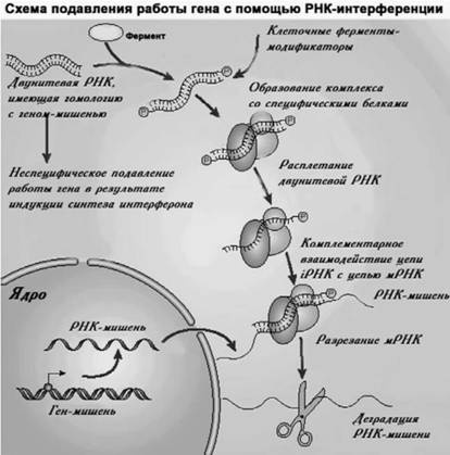 Имя ему СПИД. Четвертый всадник Апокалипсиса