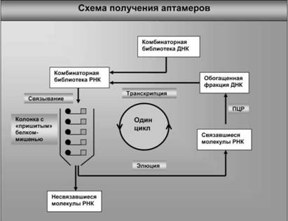 Имя ему СПИД. Четвертый всадник Апокалипсиса