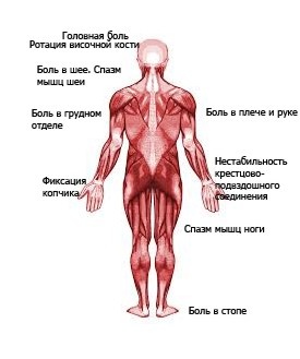 Забыть стоматологов. Диеты. Симперцептинг