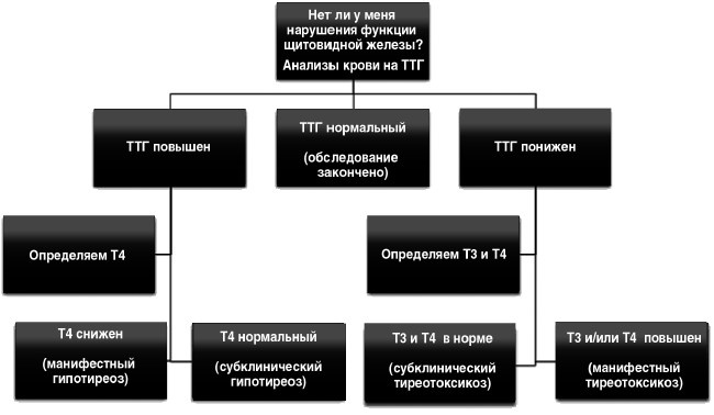 Расшифровка анализов. Как поставить диагноз своими силами