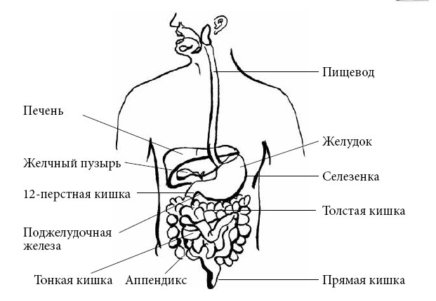 Если ваш ребенок заболел. Что должны знать и уметь родители