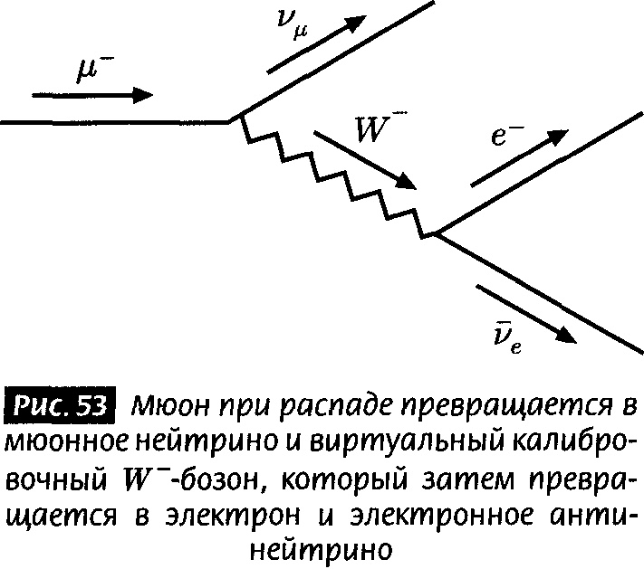 Закрученные пассажи. Проникая в тайны скрытых размерностей пространства