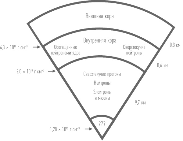 Суперобъекты. Звезды размером с город