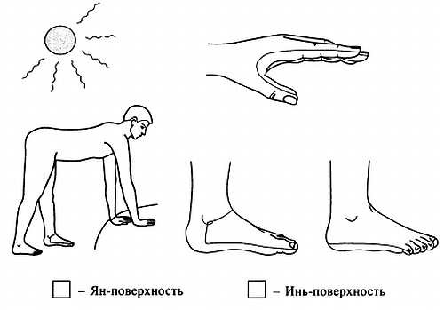 Сам себе Су Джок доктор