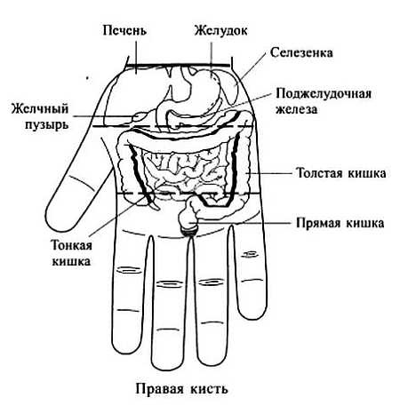 Сам себе Су Джок доктор