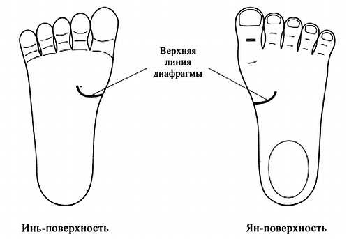 Сам себе Су Джок доктор