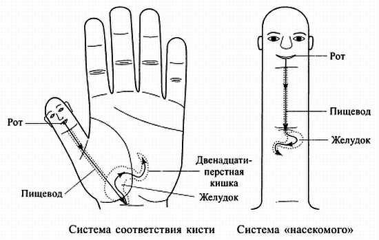 Сам себе Су Джок доктор