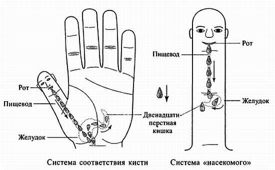 Сам себе Су Джок доктор