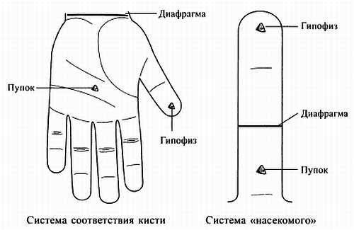 Сам себе Су Джок доктор