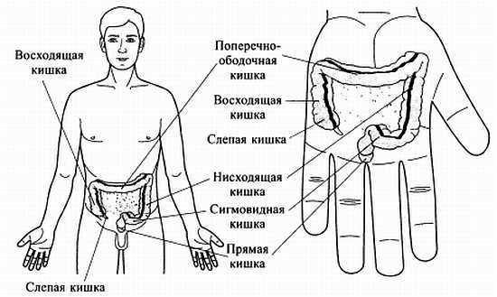 Сам себе Су Джок доктор