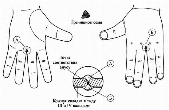 Сам себе Су Джок доктор