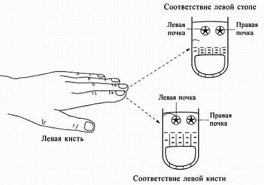 Сам себе Су Джок доктор