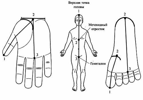 Сам себе Су Джок доктор