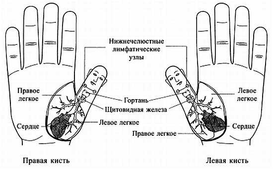 Сам себе Су Джок доктор