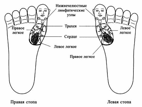 Сам себе Су Джок доктор