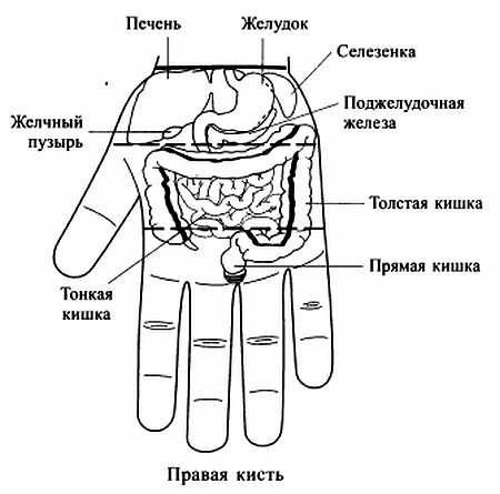 Сам себе Су Джок доктор