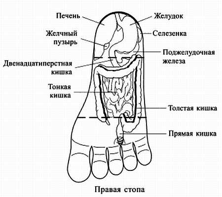 Сам себе Су Джок доктор