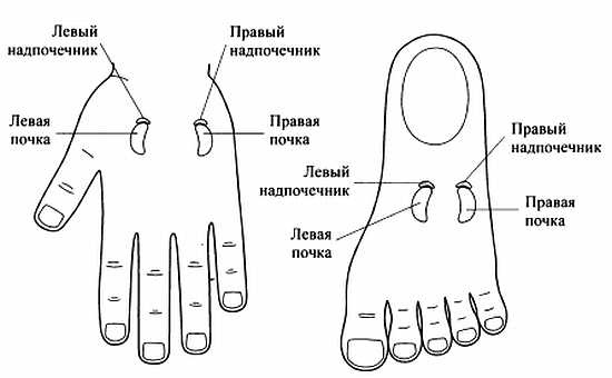 Сам себе Су Джок доктор