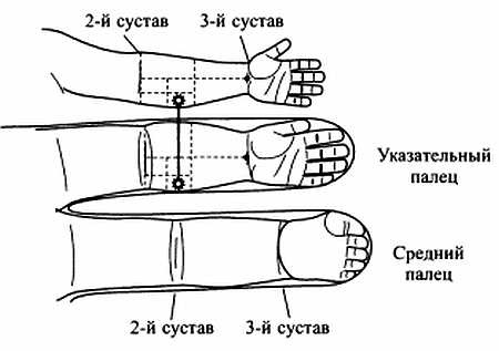 Сам себе Су Джок доктор