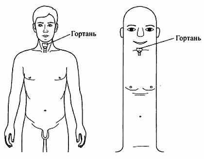 Сам себе Су Джок доктор