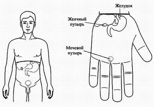 Сам себе Су Джок доктор