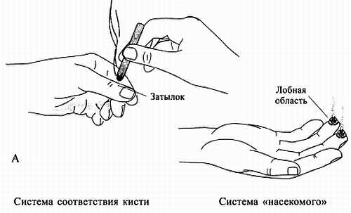 Сам себе Су Джок доктор