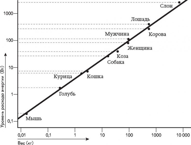 Города вам на пользу. Гений мегаполиса