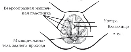 Секреты любви. Даосская практика для женщин и мужчин