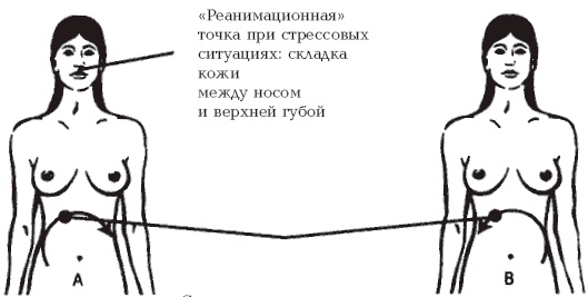 Секреты любви. Даосская практика для женщин и мужчин