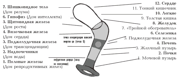 Секреты любви. Даосская практика для женщин и мужчин